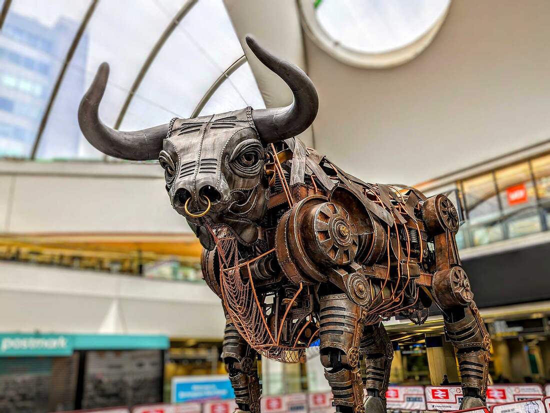 Ozzy the Bull