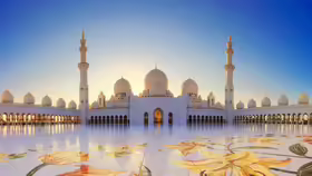Sheikh Zayed