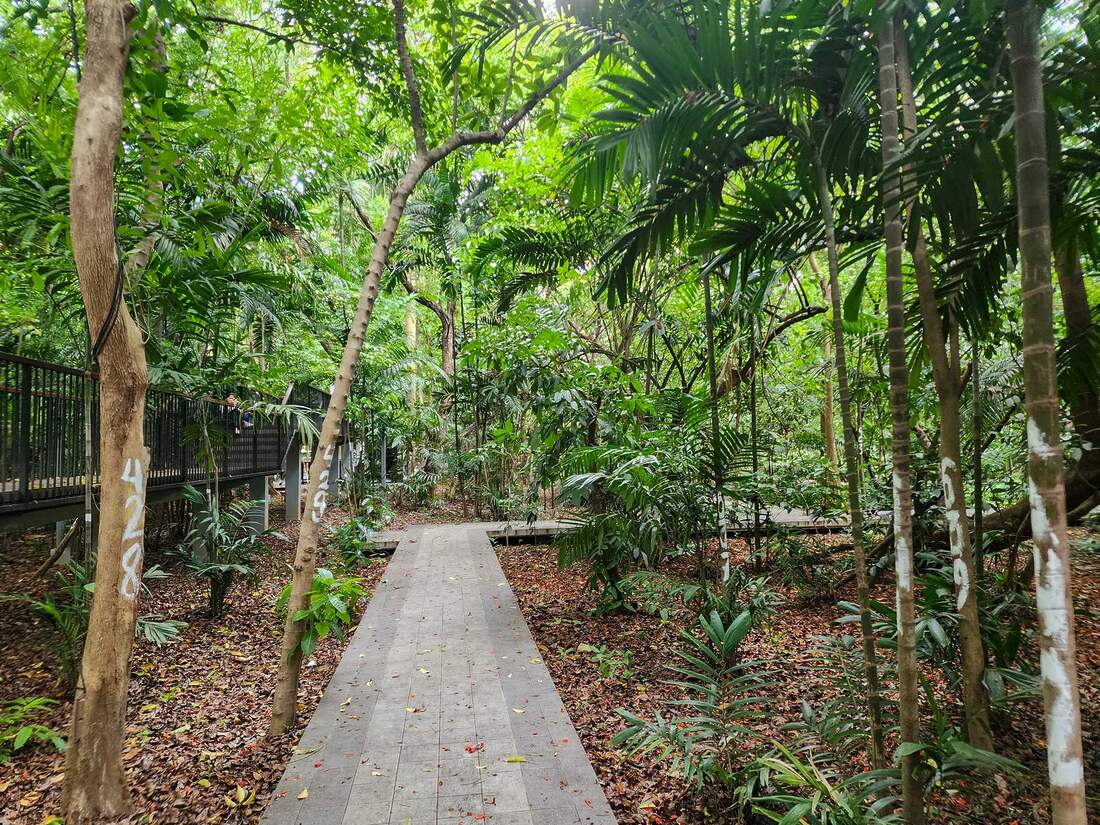 Arroceros Forest Park