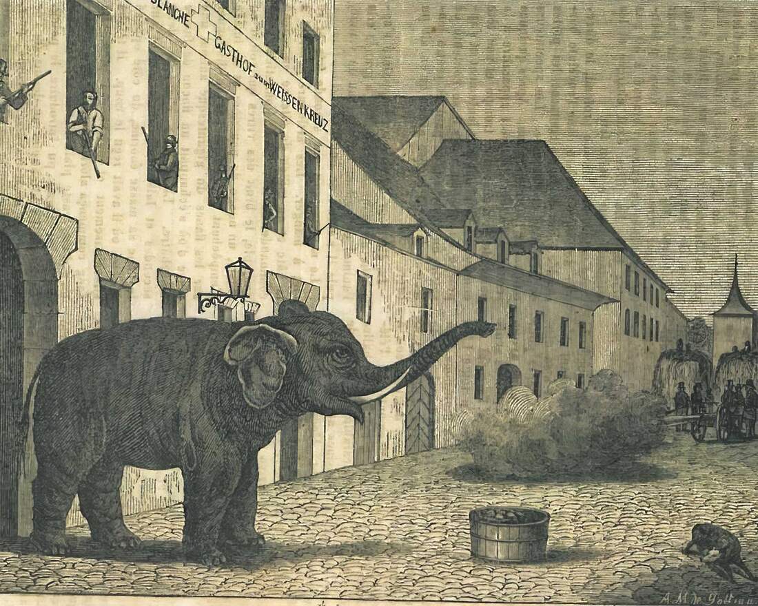 Prírodovedné múzeum