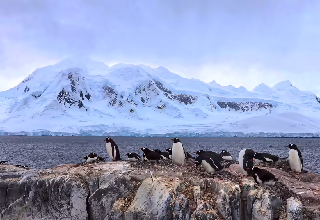 Goudier Island