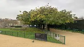 La Morgue de Paris