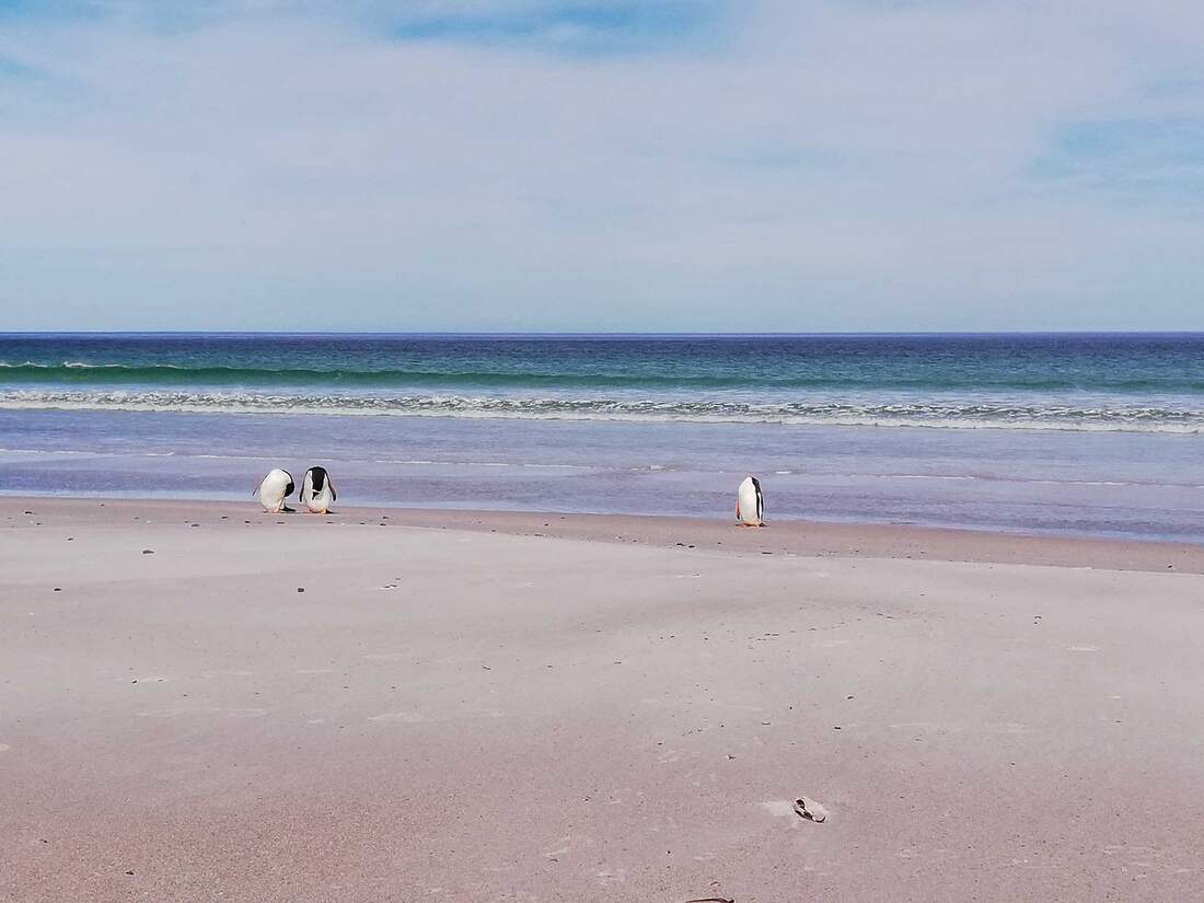 Bertha's Beach