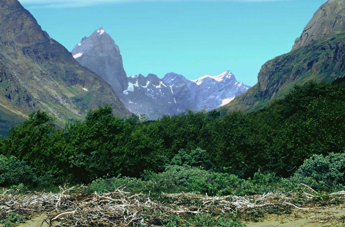 Qinnguadalen