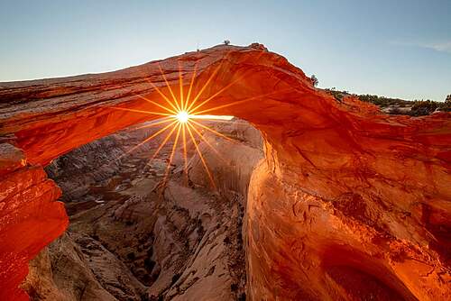 Eggshell Arch