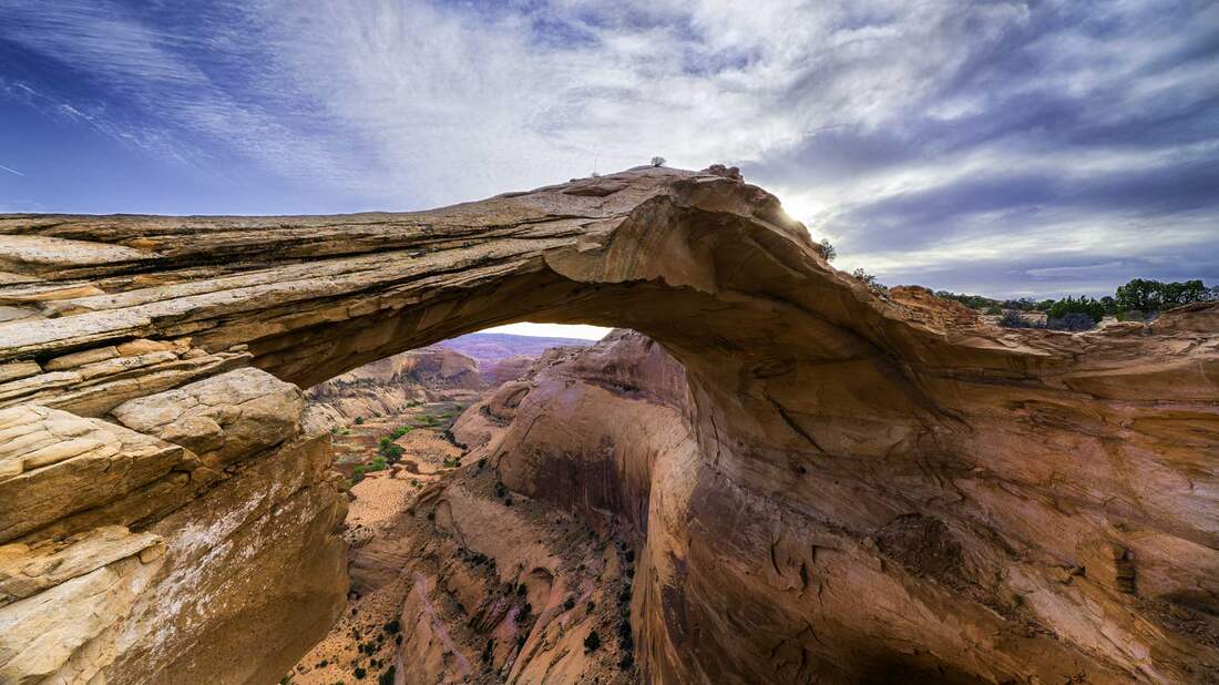 Eggshell Arch