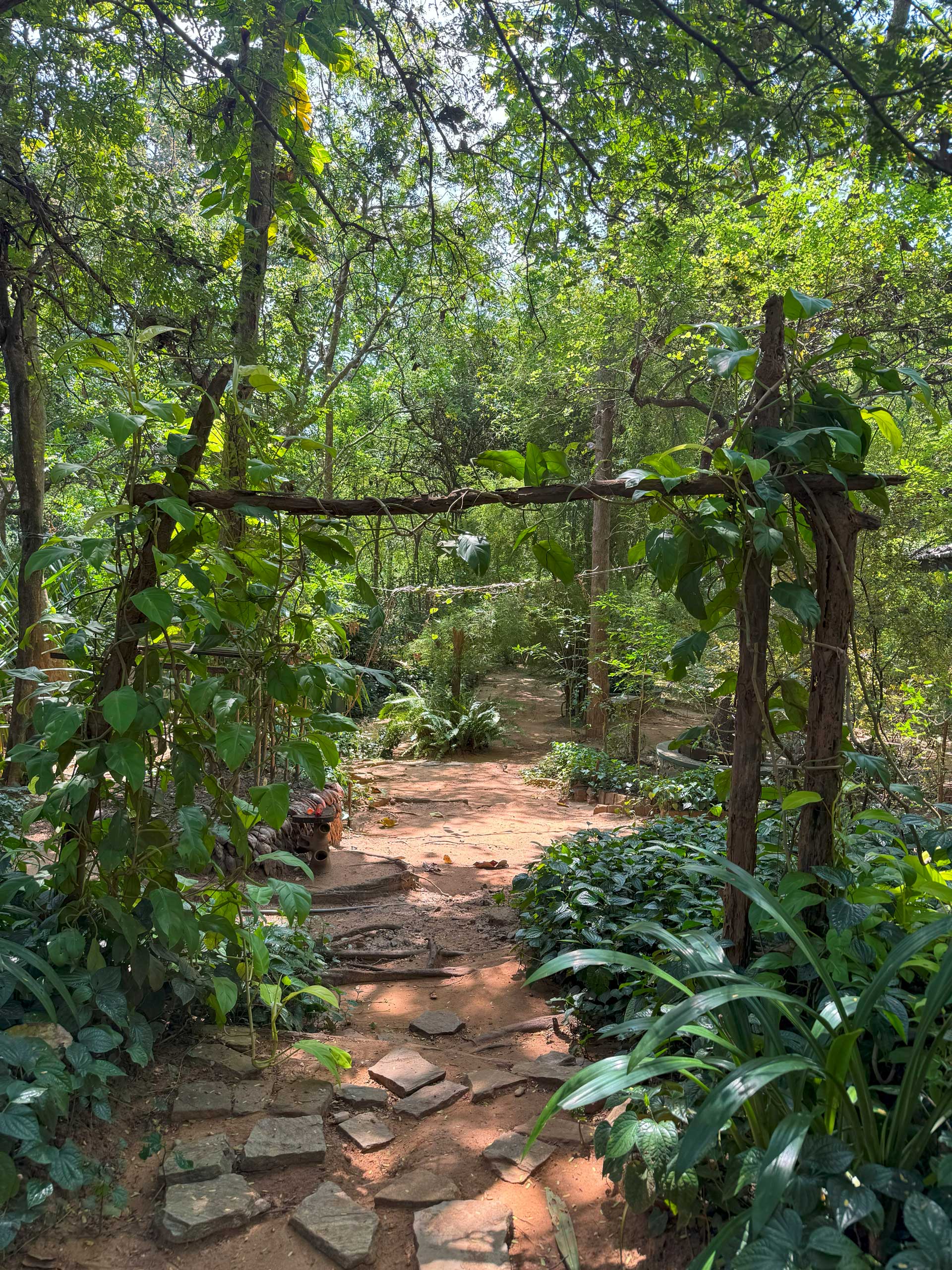 Spice garden