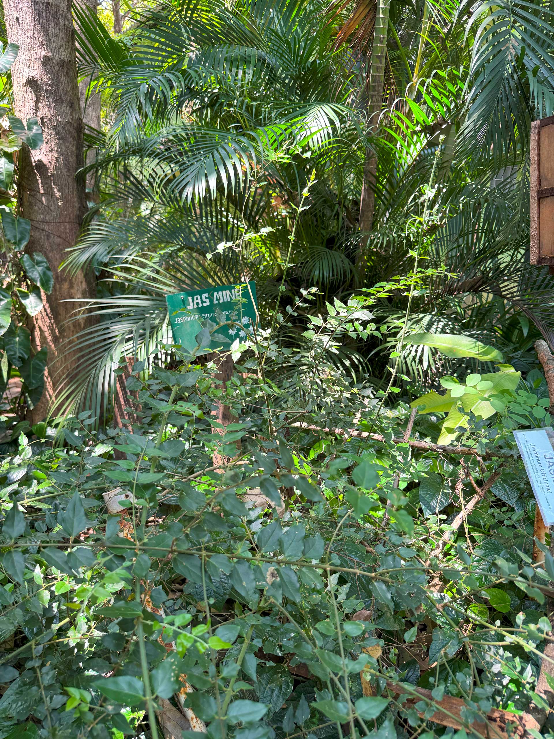Spice garden