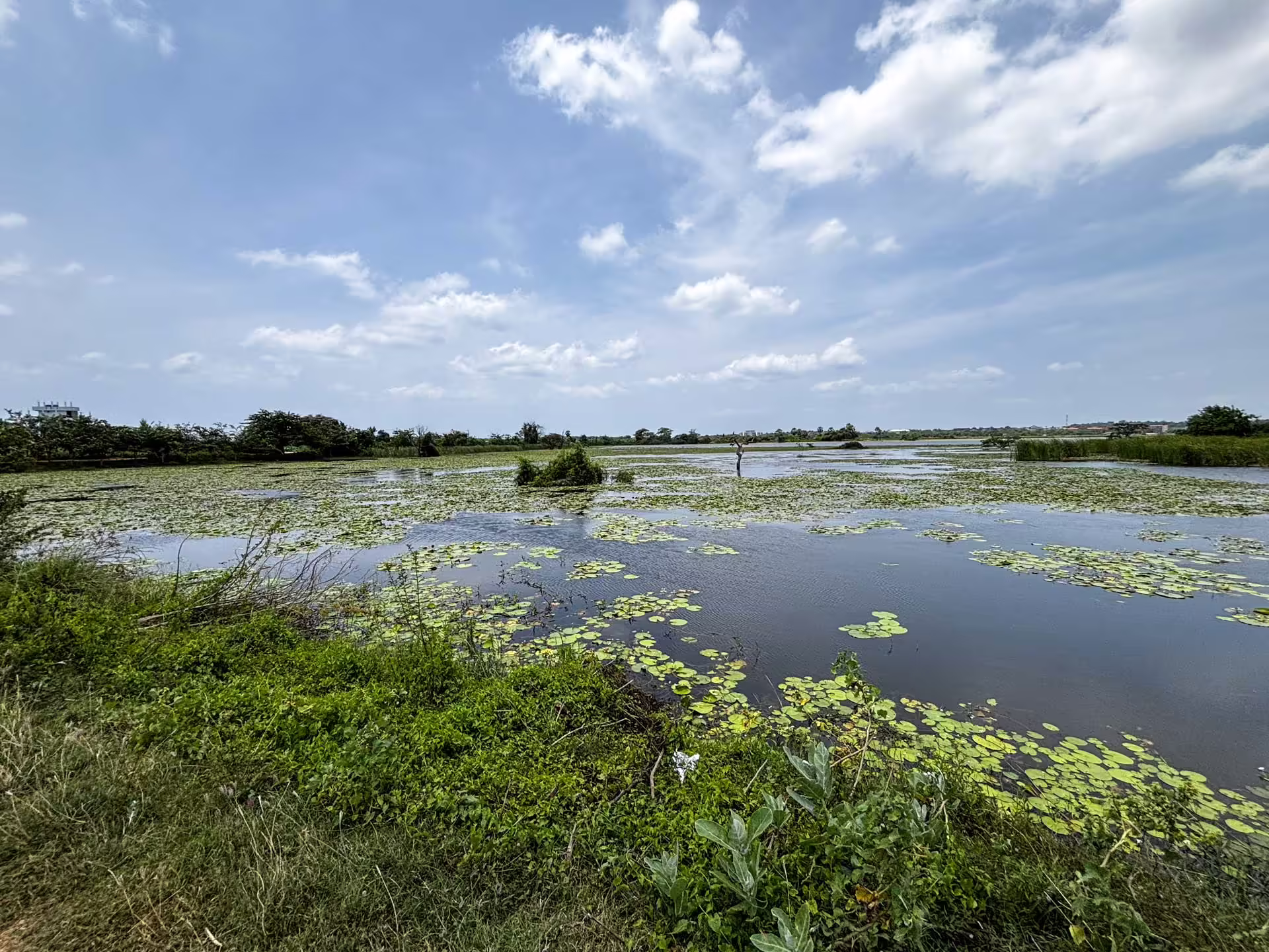 Crocodile Park Nilaveli