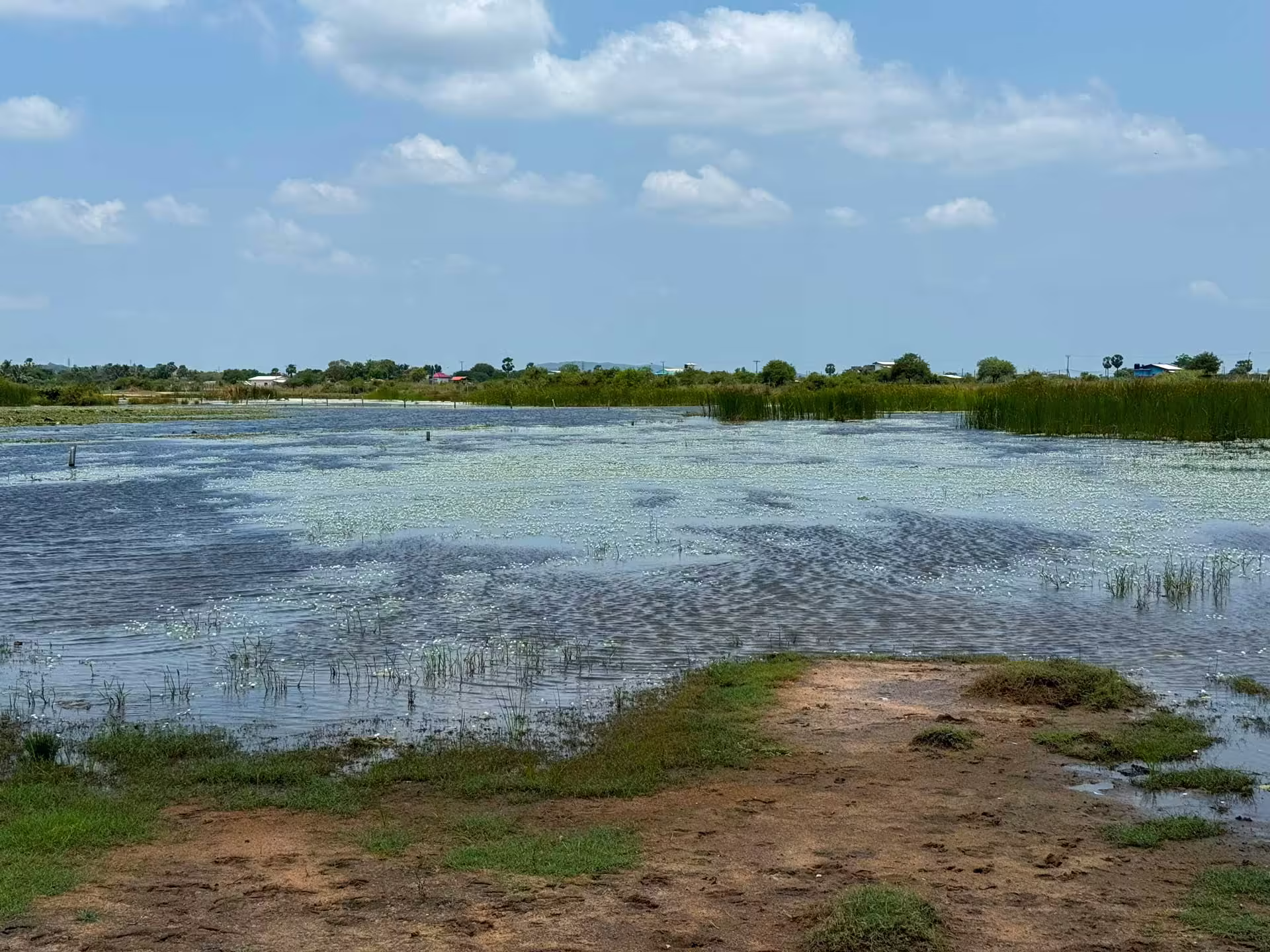 Crocodile Park Nilaveli