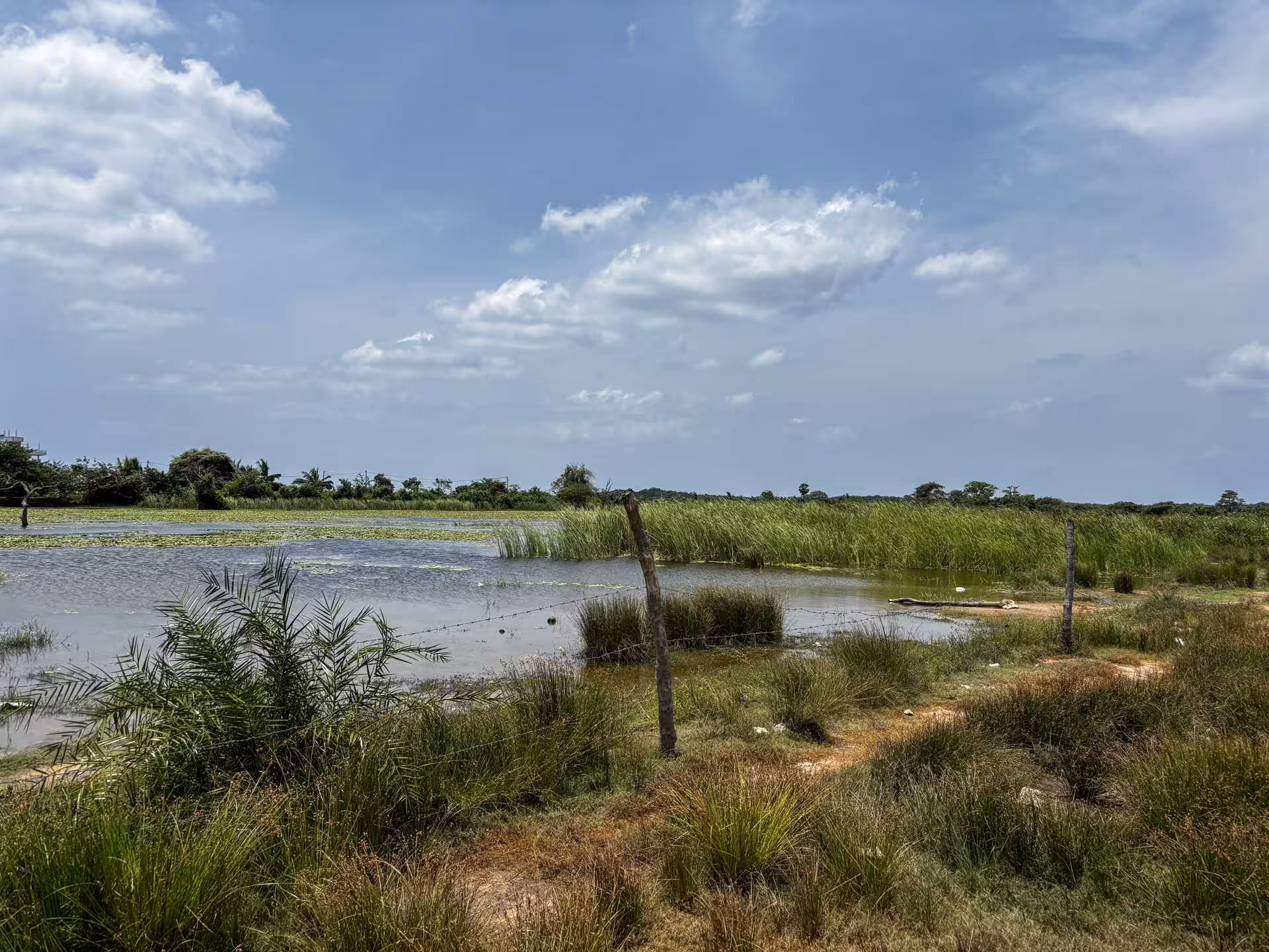 Crocodile Park Nilaveli