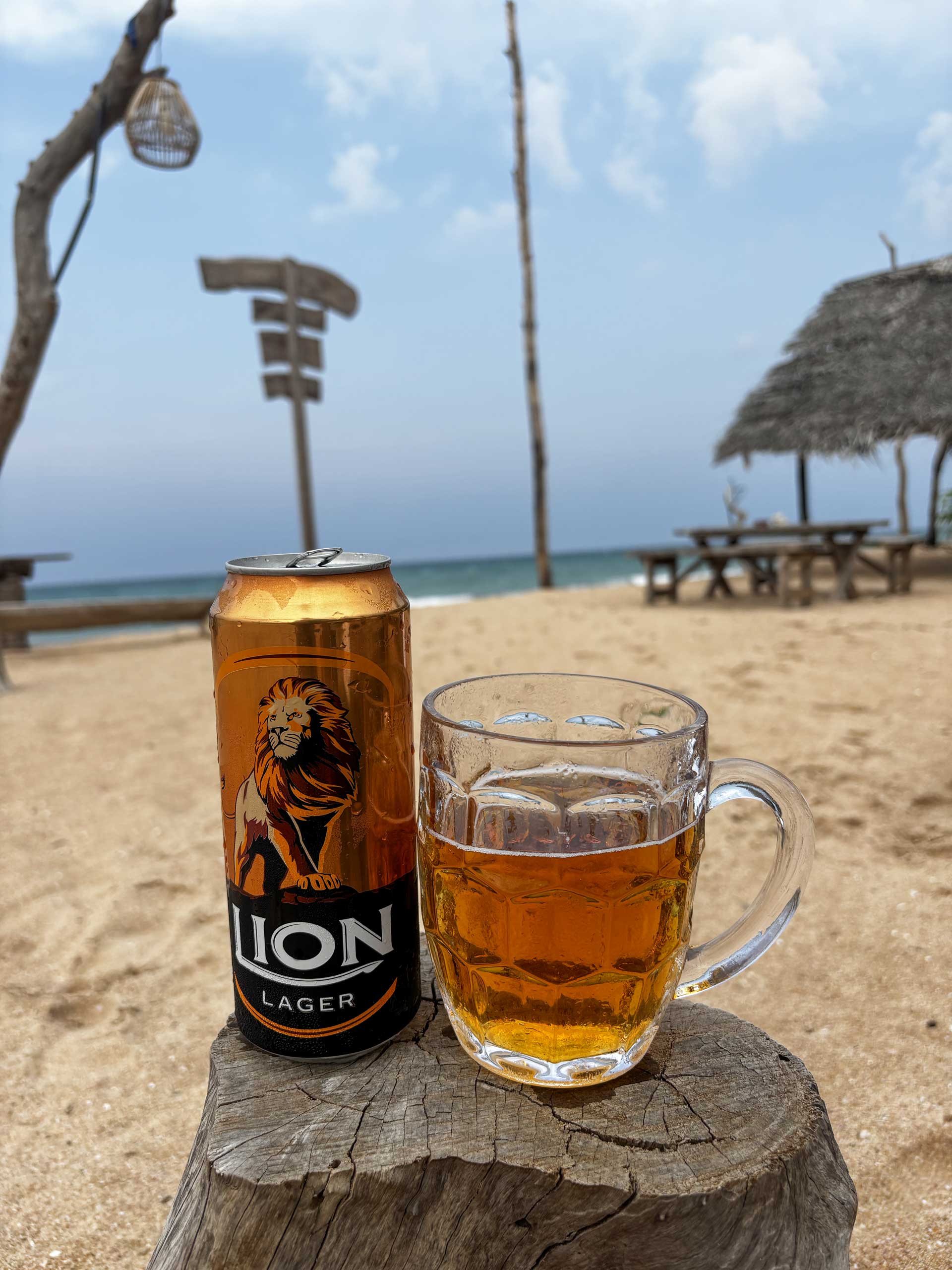 Lion pivo