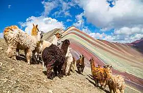 Dúhová hora
