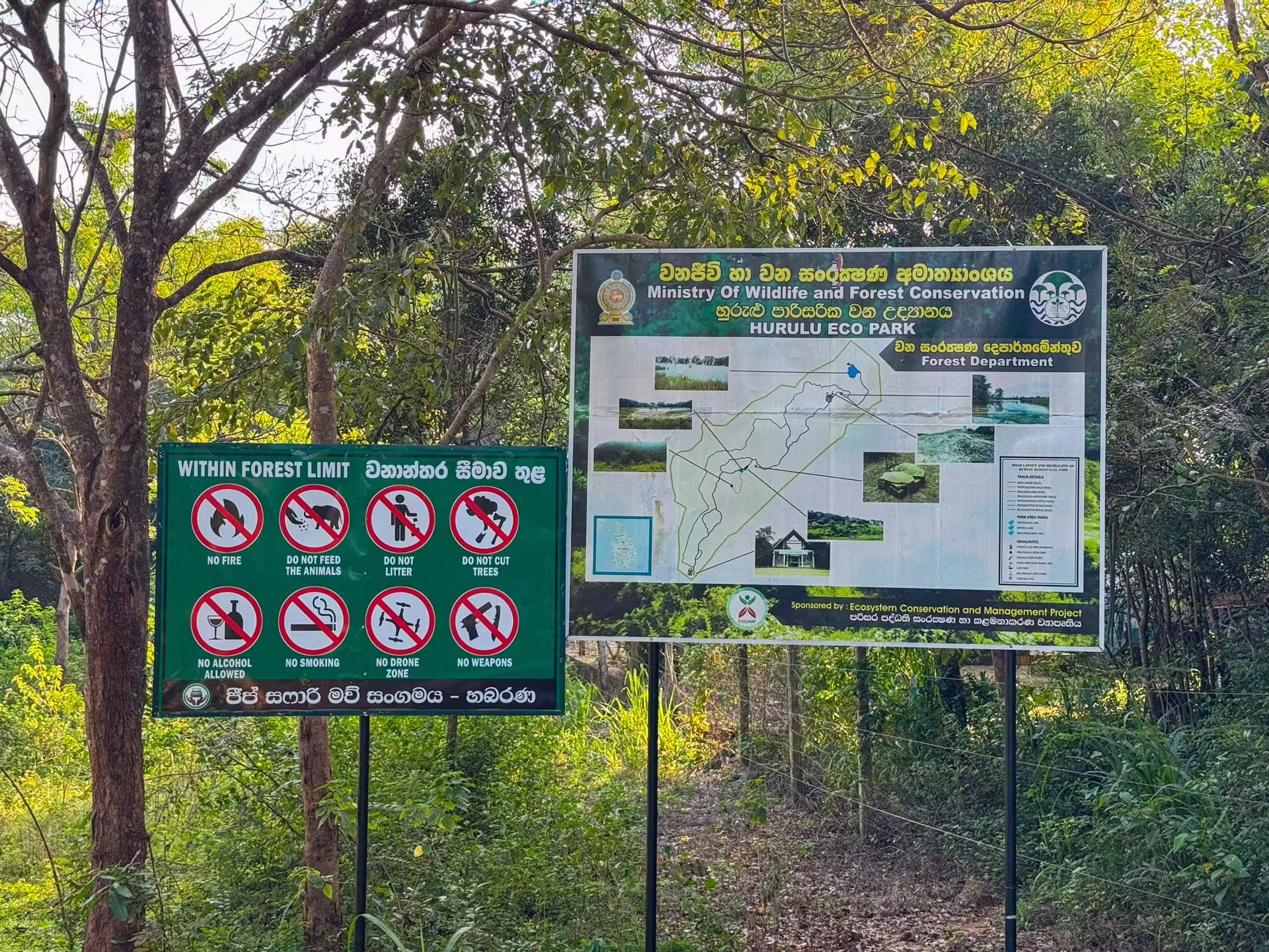 Safari park