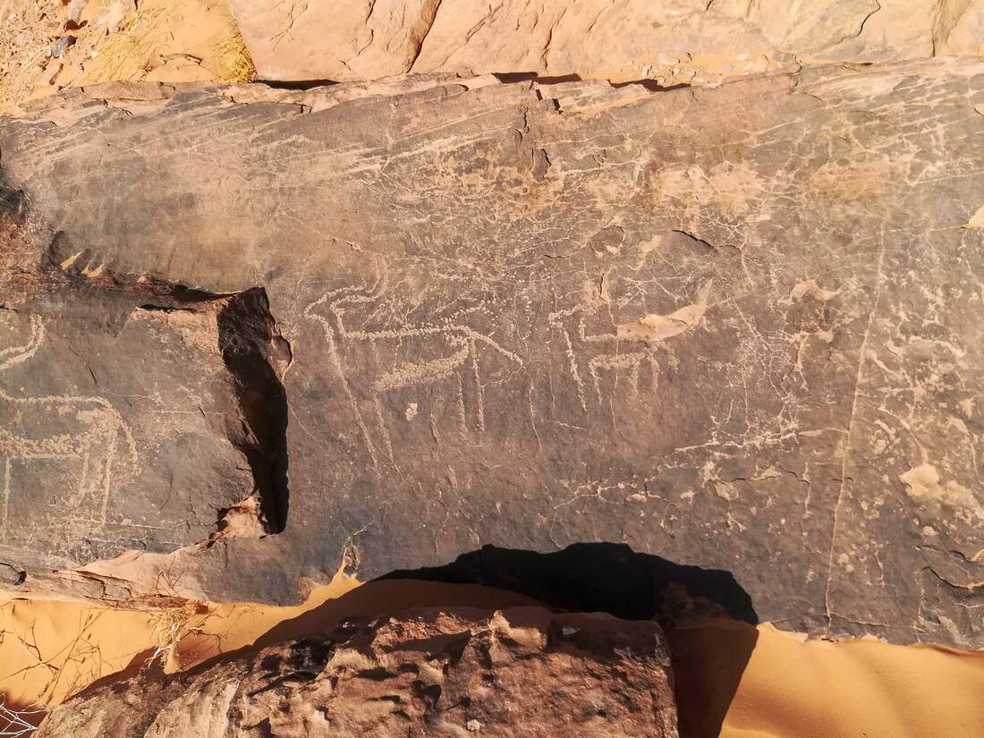 Petroglyfy z Taghit