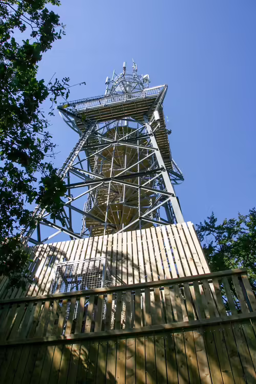 Rowokół