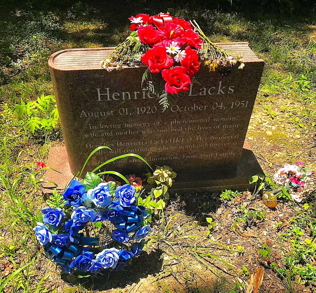 Henrietta Lacks grave