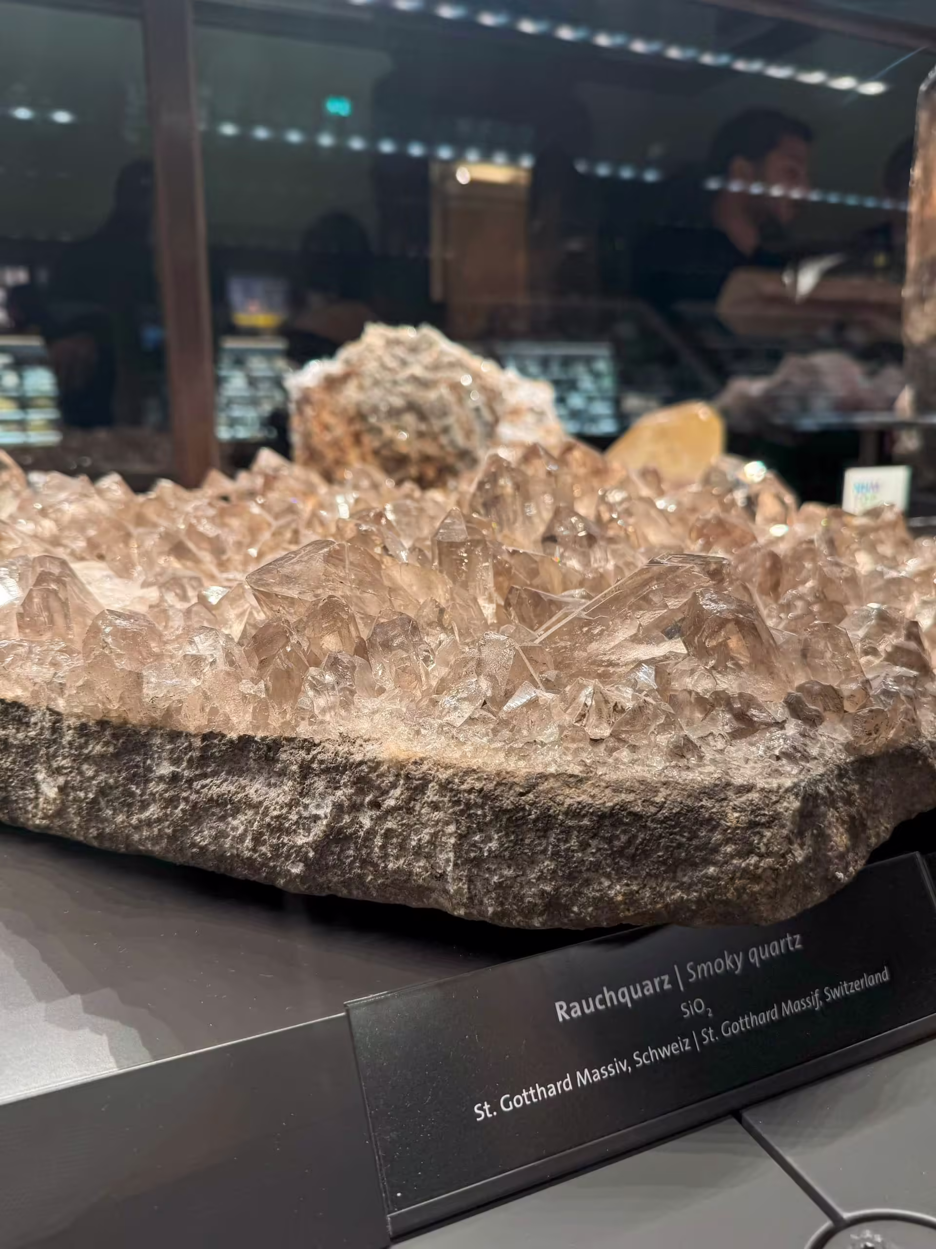Naturhistorisches Museum Wien