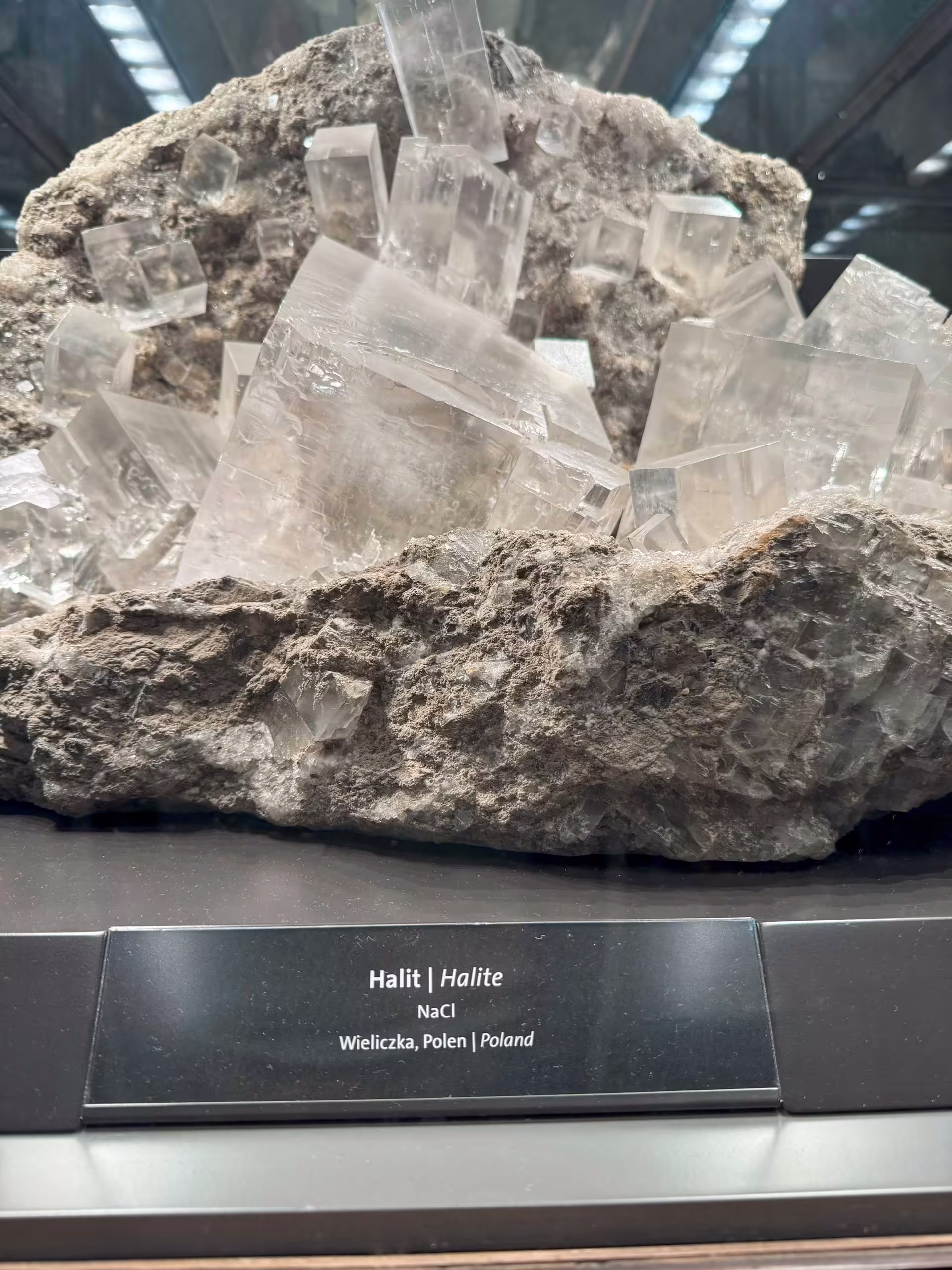 Naturhistorisches Museum Wien