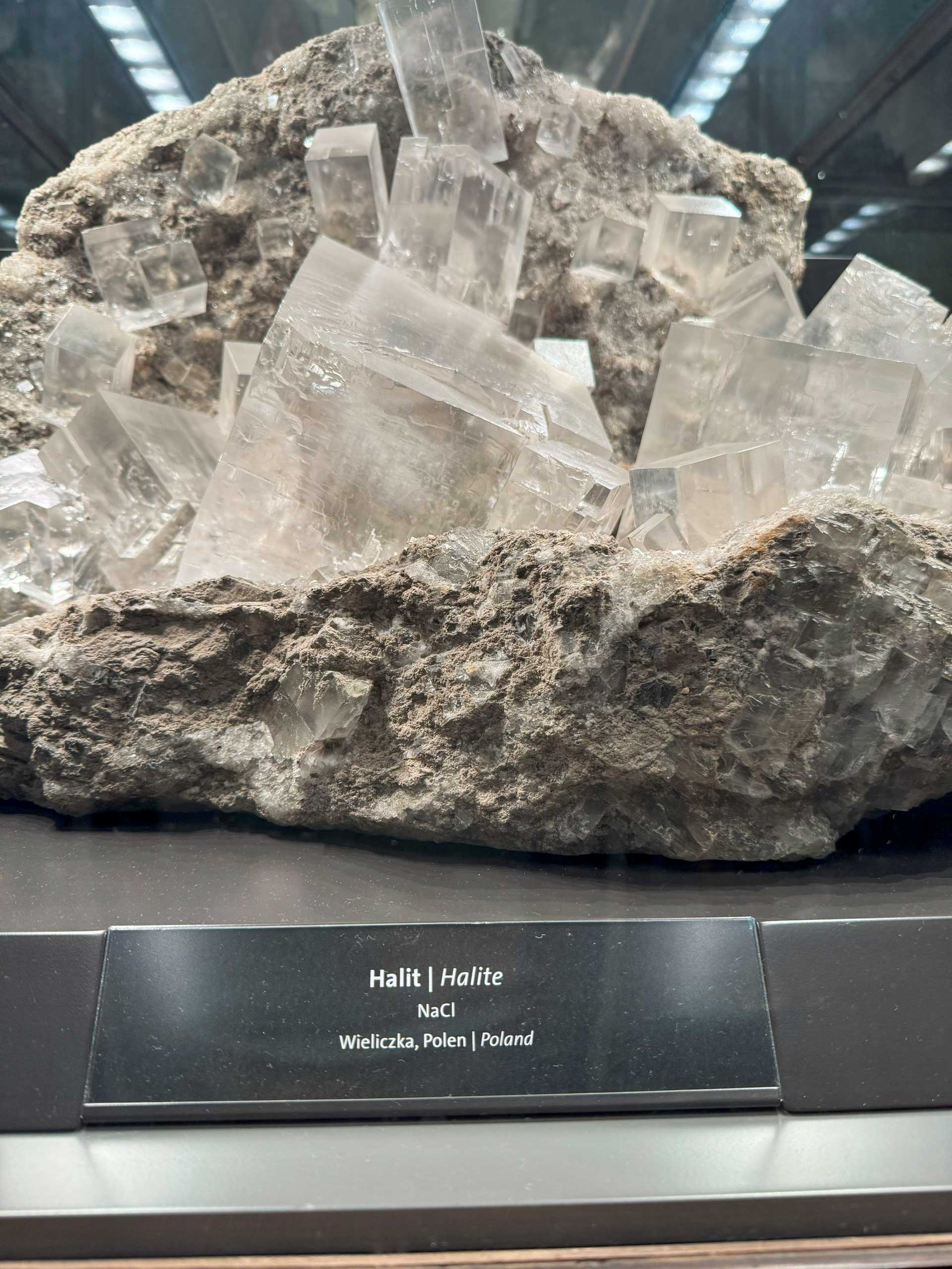 Naturhistorisches Museum Wien