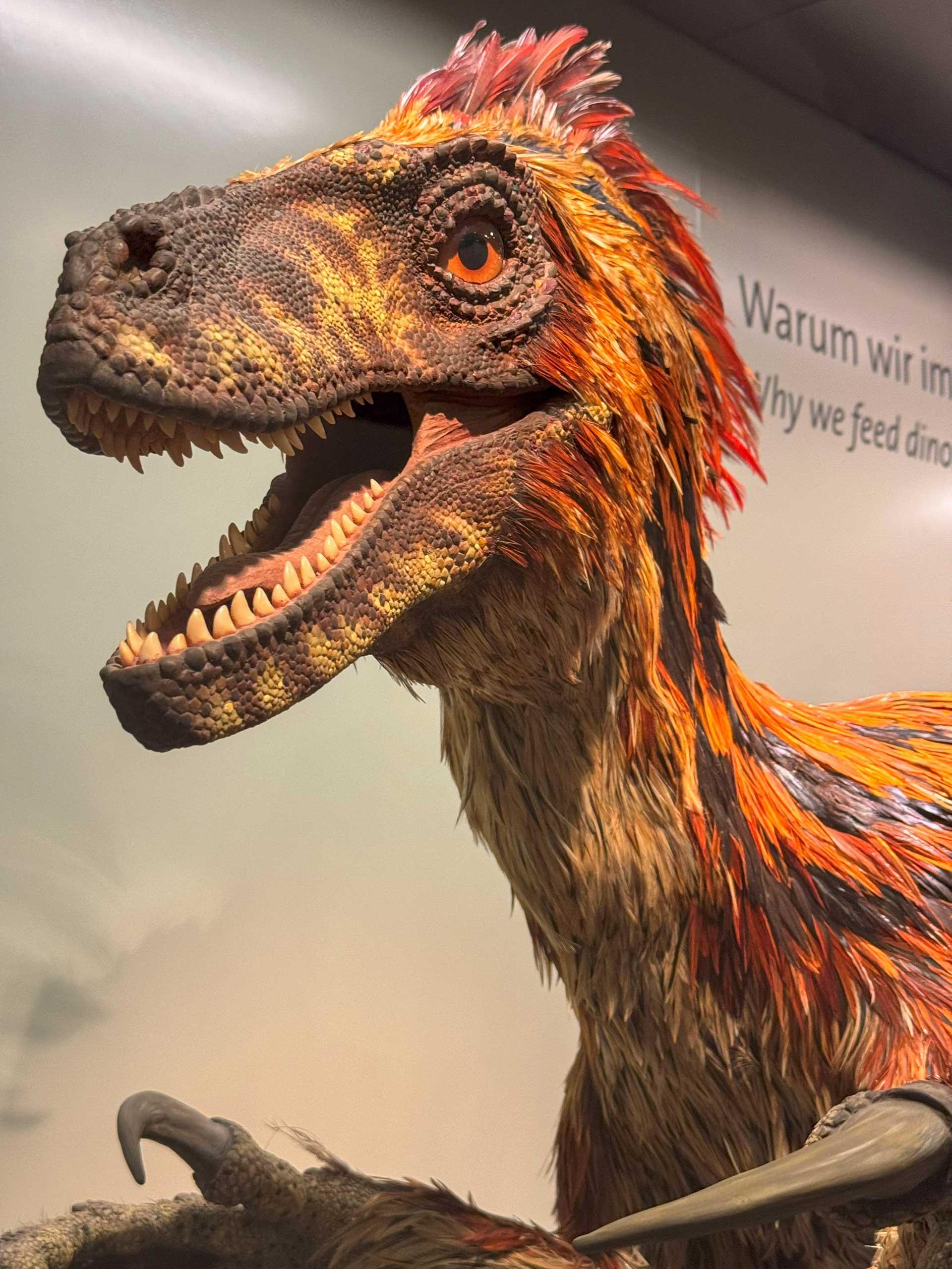 Naturhistorisches Museum Wien