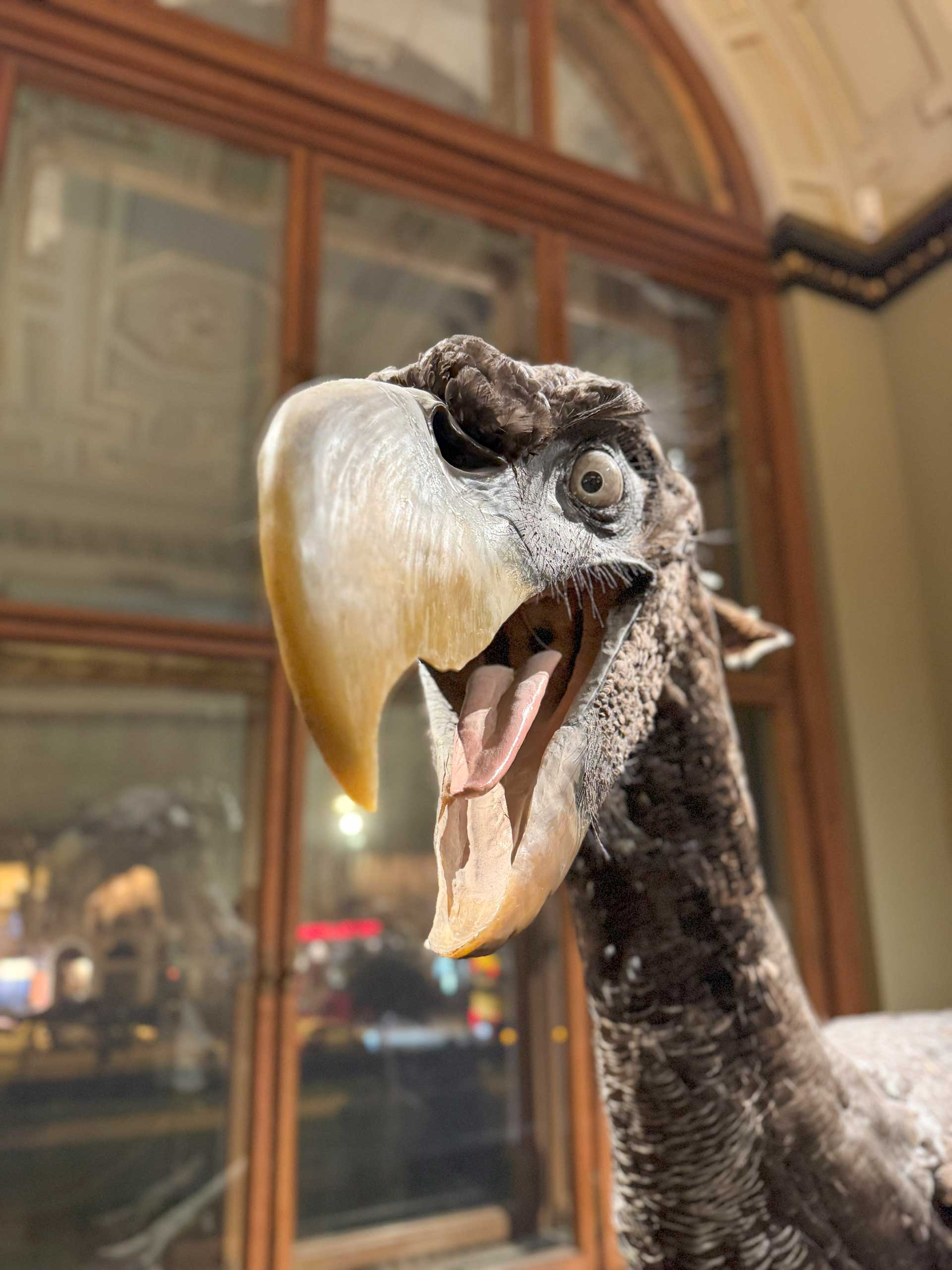 Naturhistorisches Museum Wien
