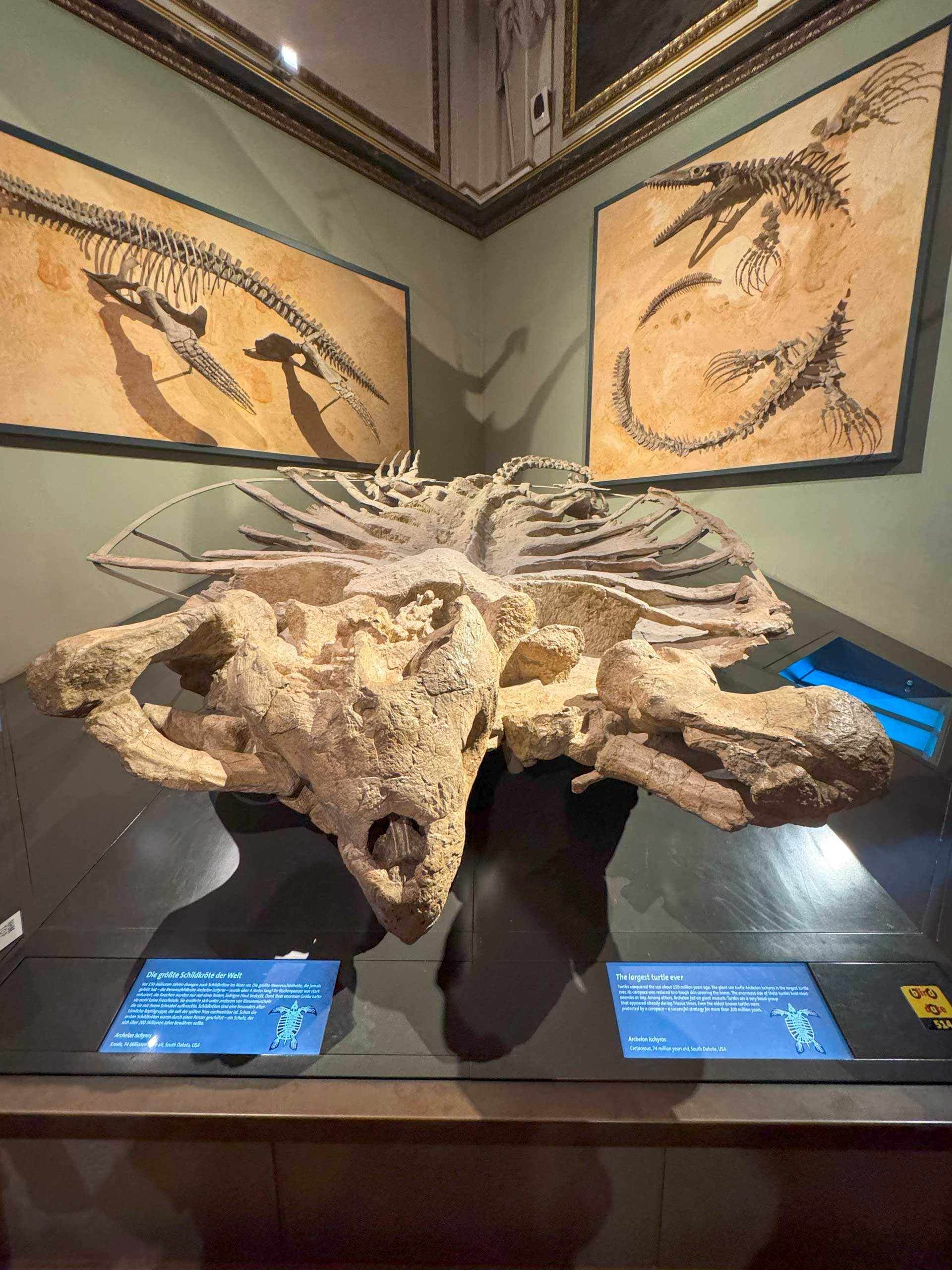 Naturhistorisches Museum Wien