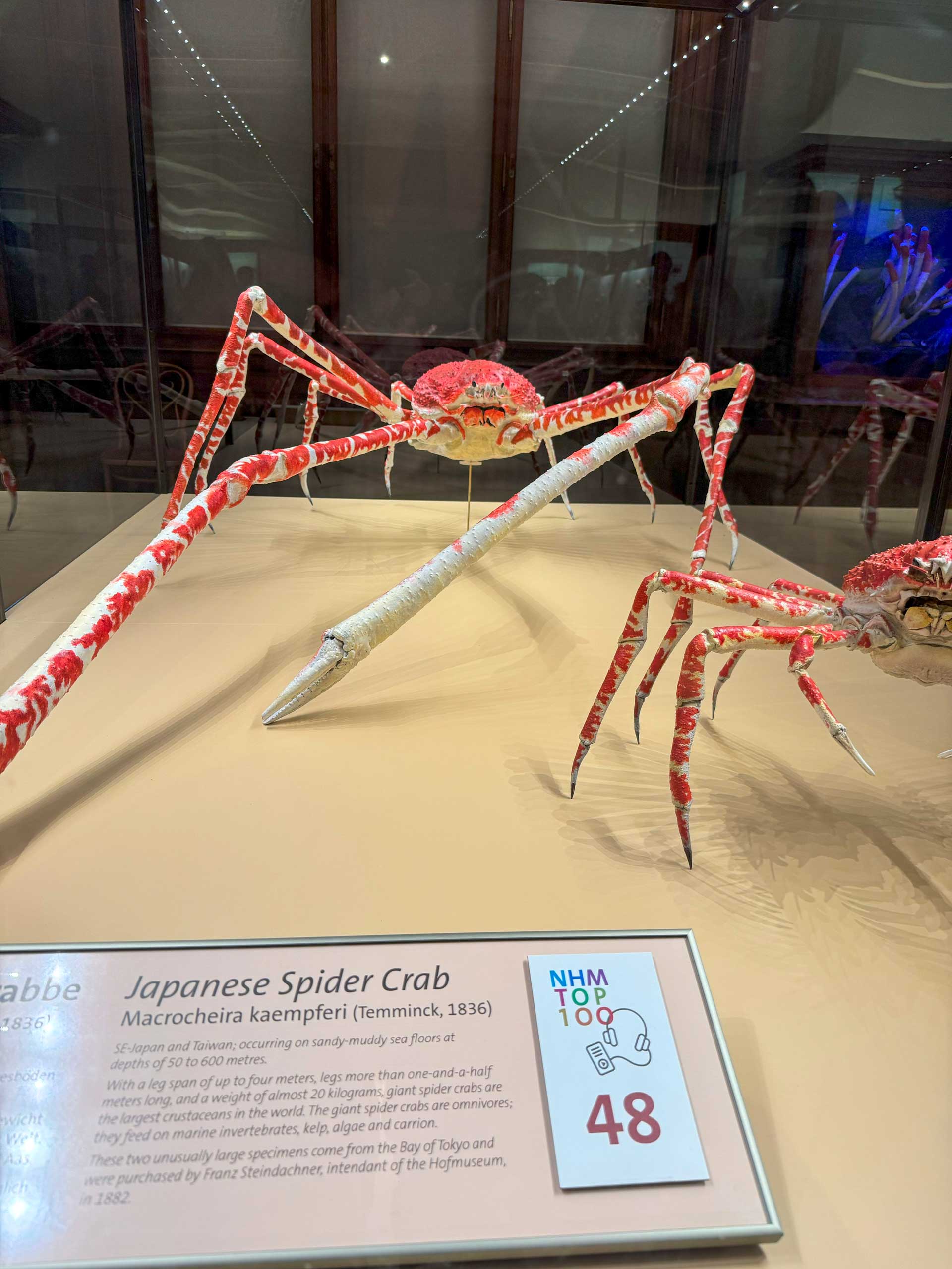 Naturhistorisches Museum Wien