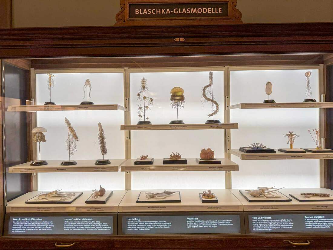 Naturhistorisches Museum Wien