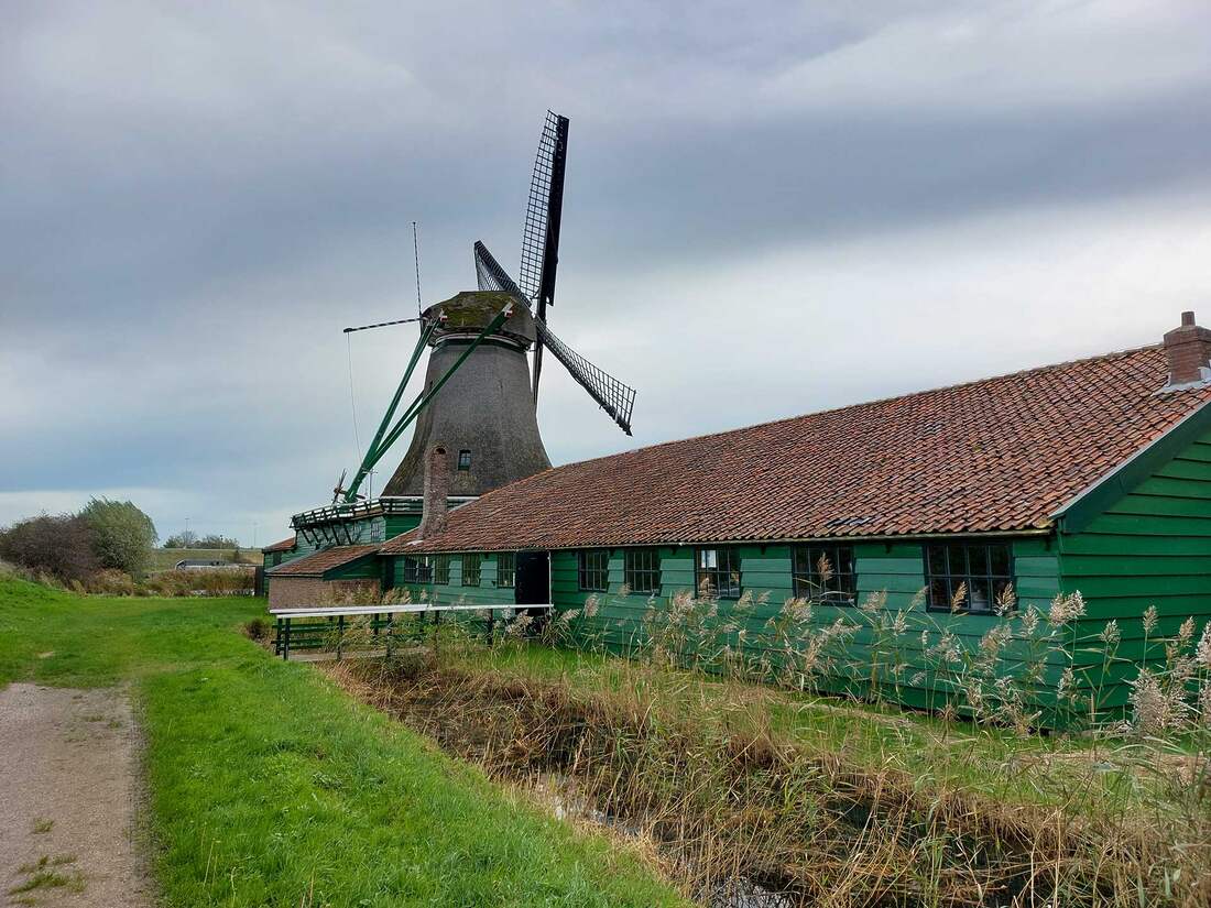 Schoolmeester