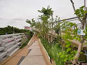 Chao Phraya Sky Park