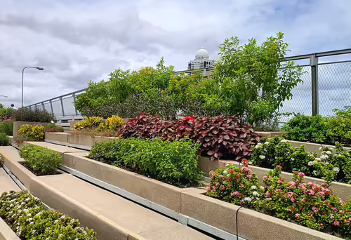 Chao Phraya Sky Park