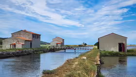 Sečovlje soli