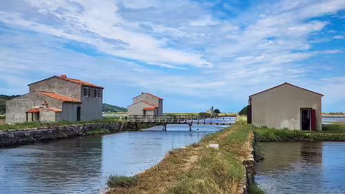 Sečovlje soli