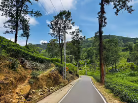 Kandy