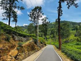 Kandy