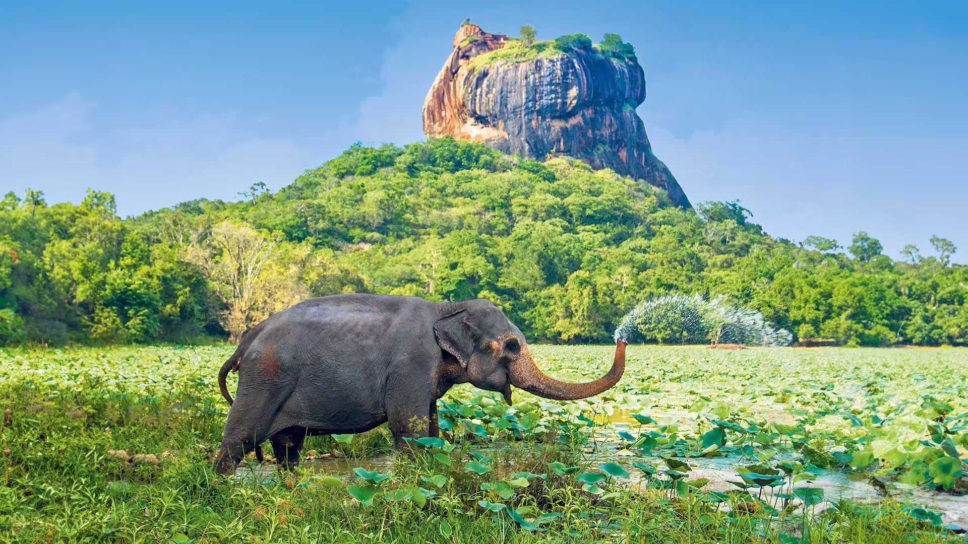 Srí Lanka