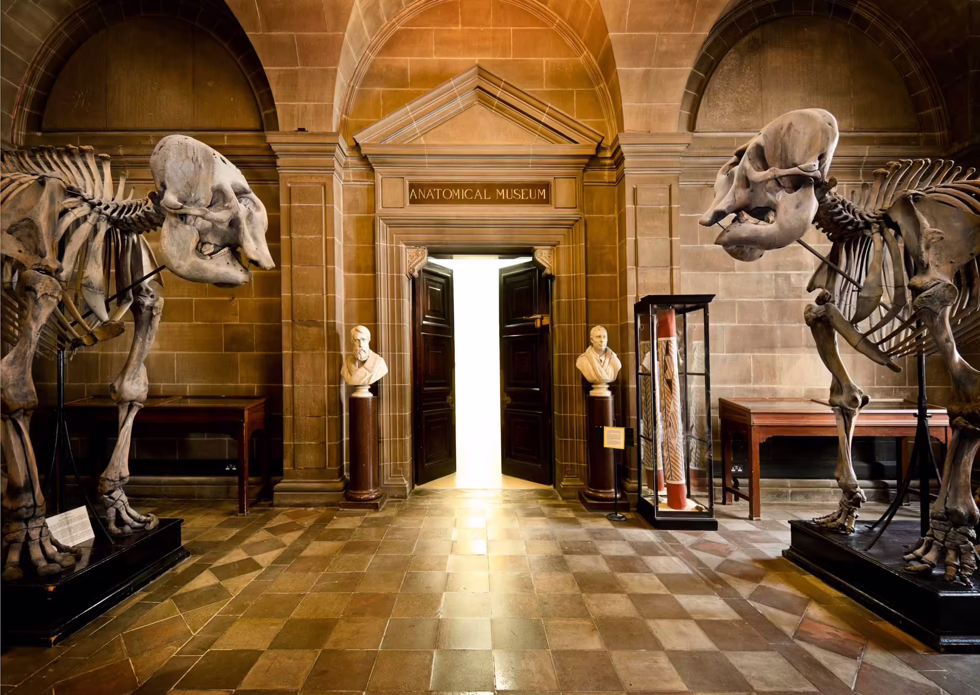 Anatomické múzeum v Edinburghu