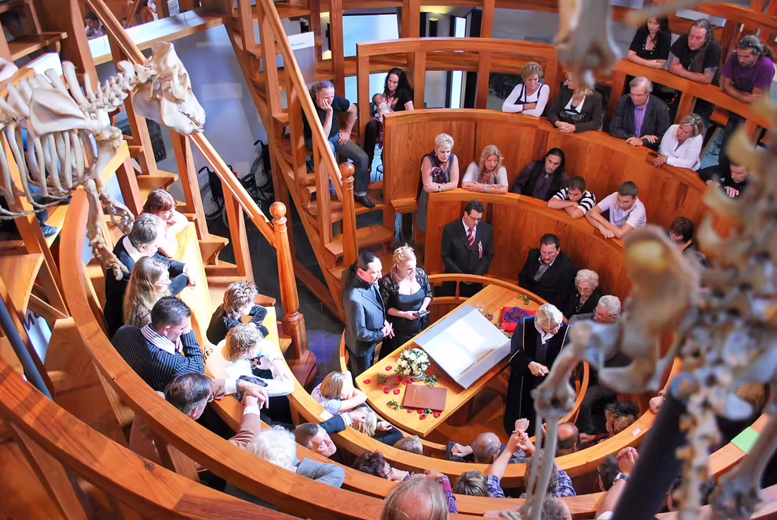 The Anatomical Museum, The University of Edinburgh