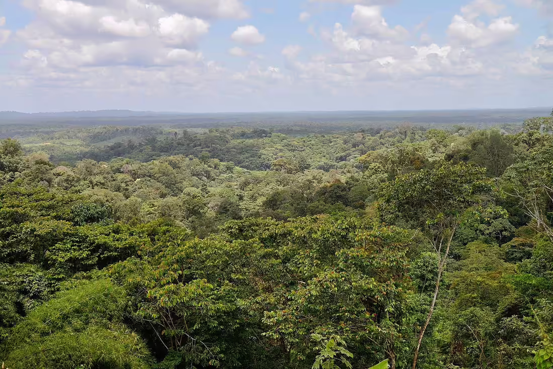 Francúzska Guyana