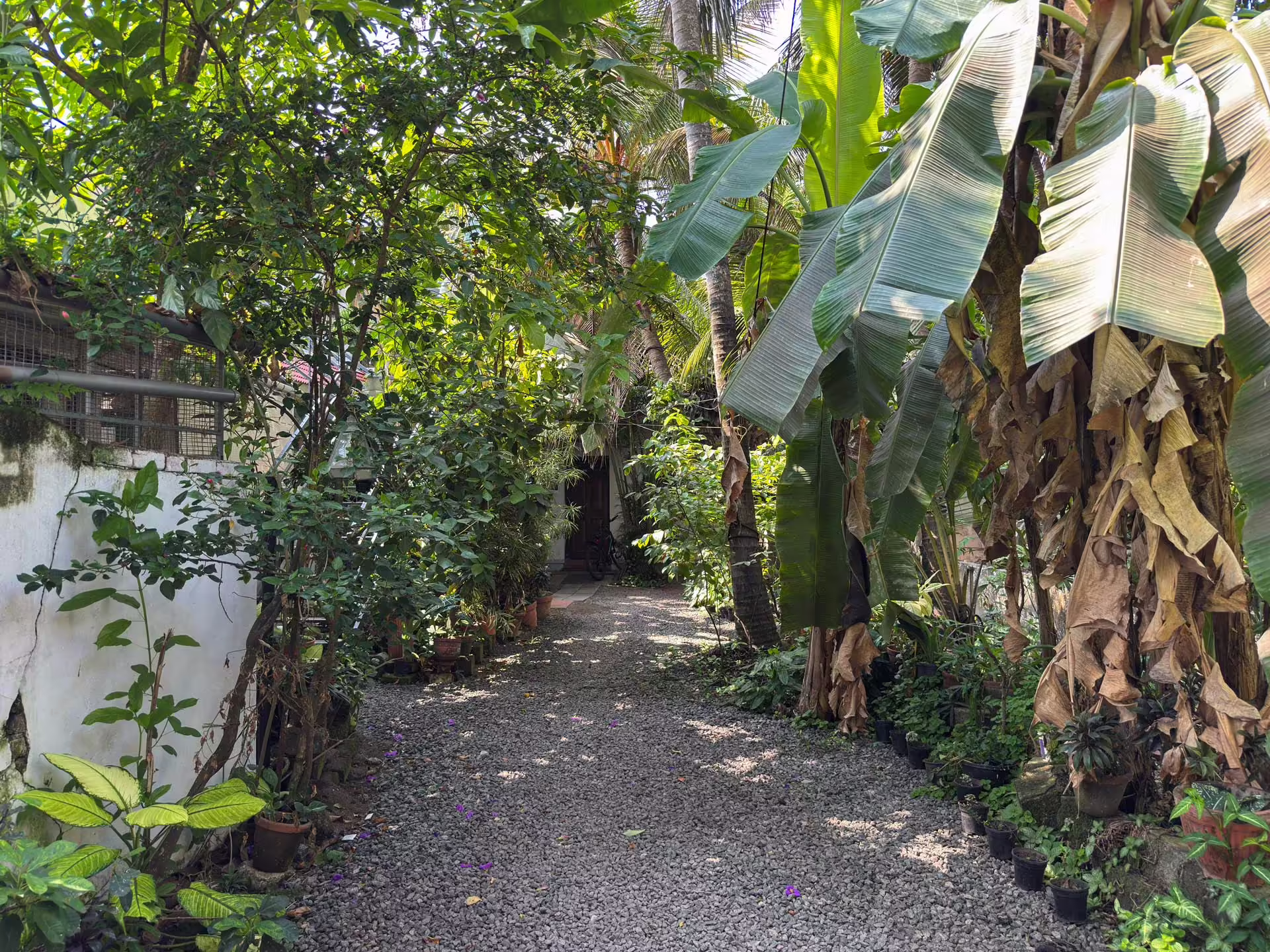 Coconut Grove Homestay