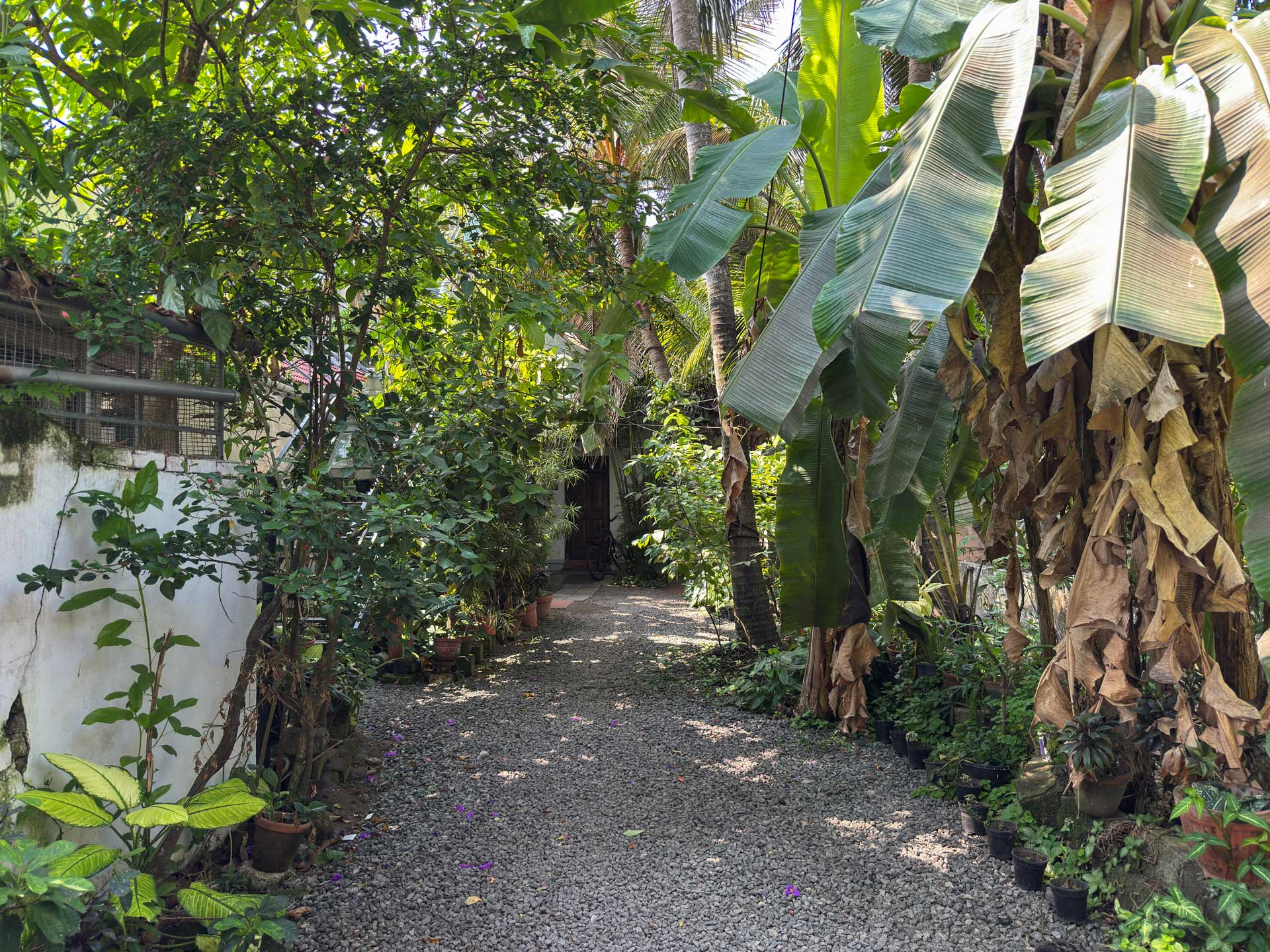 Coconut Grove Homestay