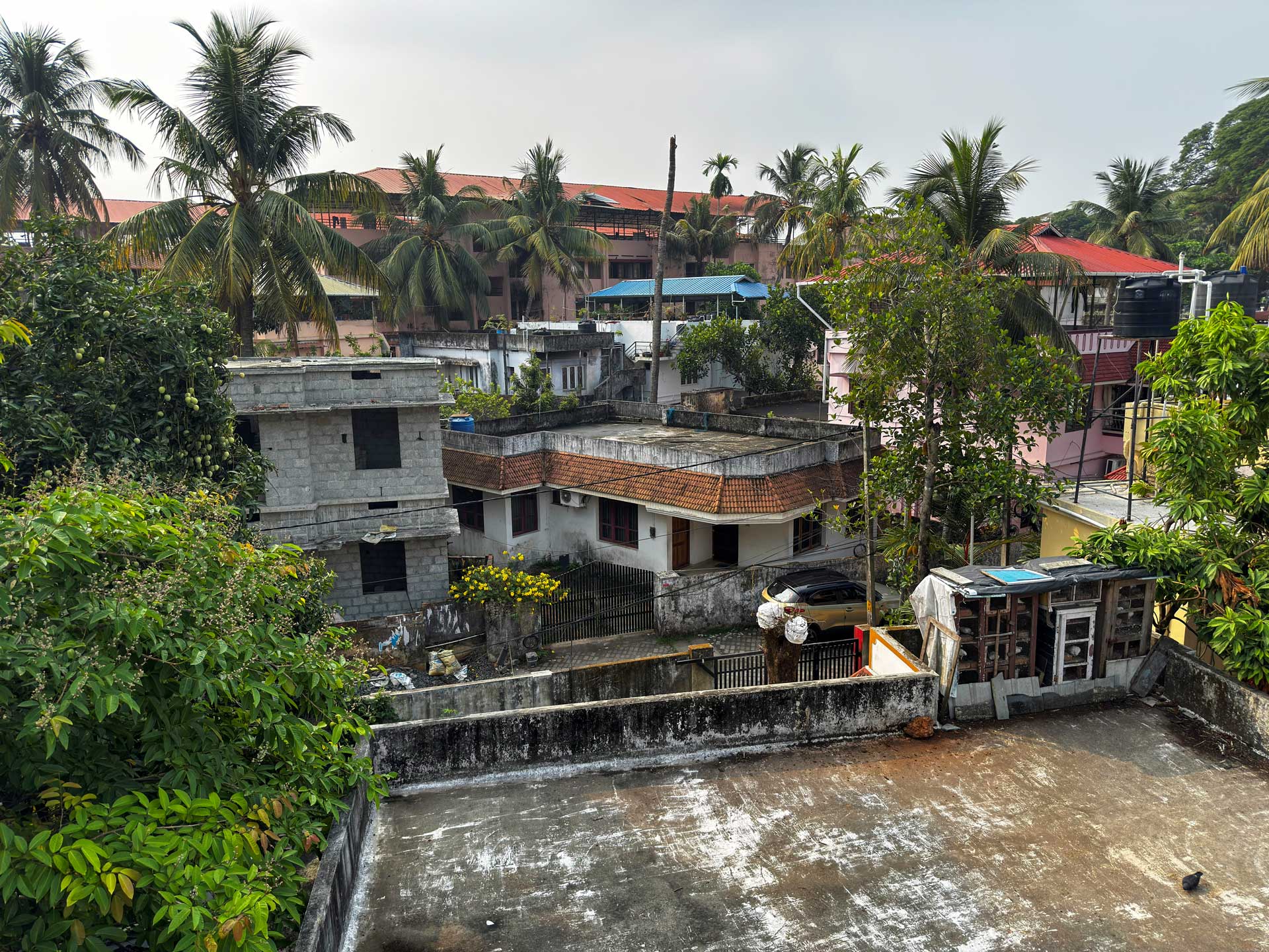 Coconut Grove Homestay