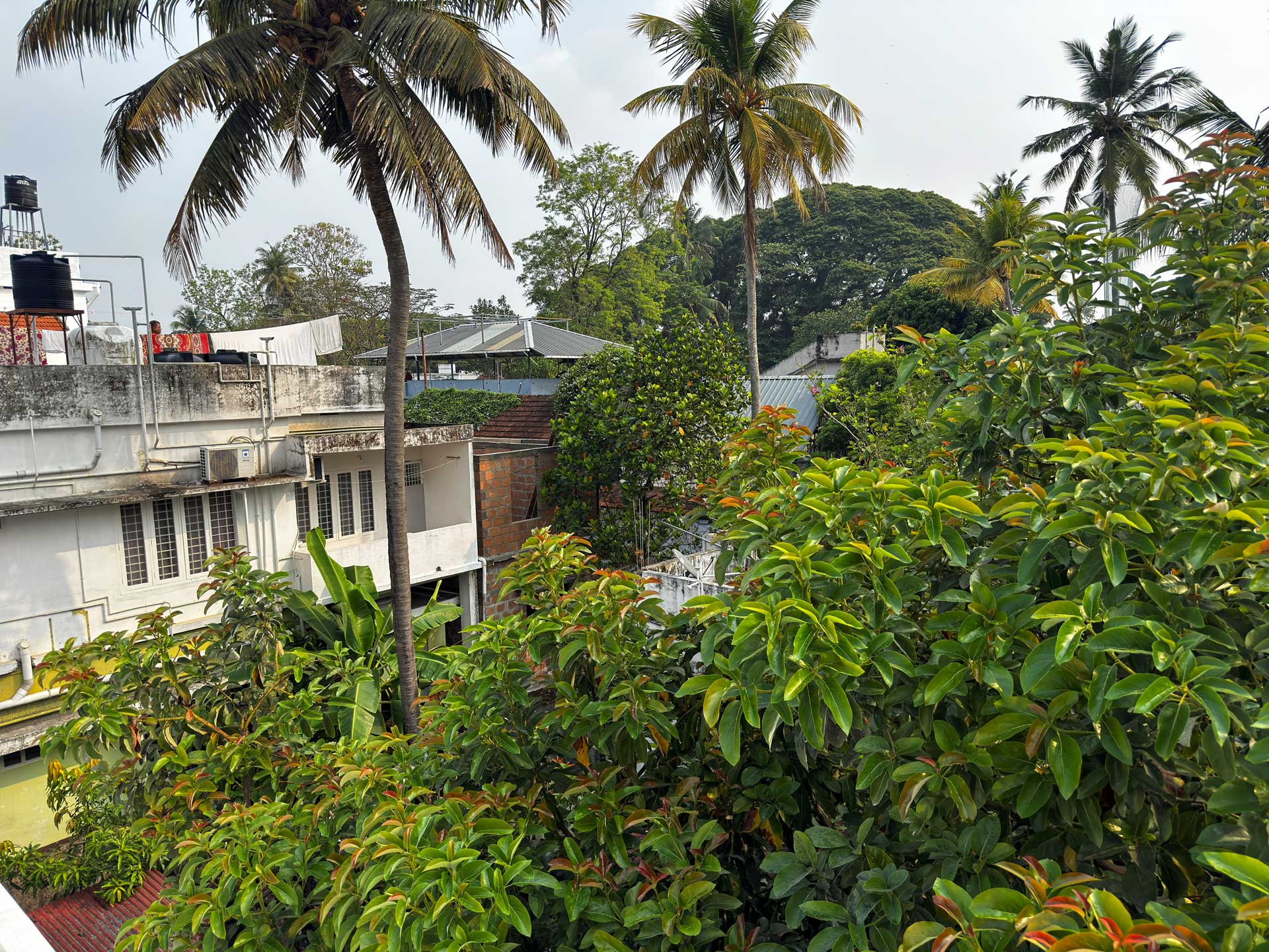 Coconut Grove Homestay
