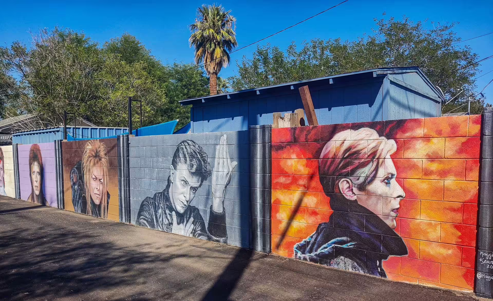 David Bowie