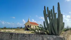 Alto Vista