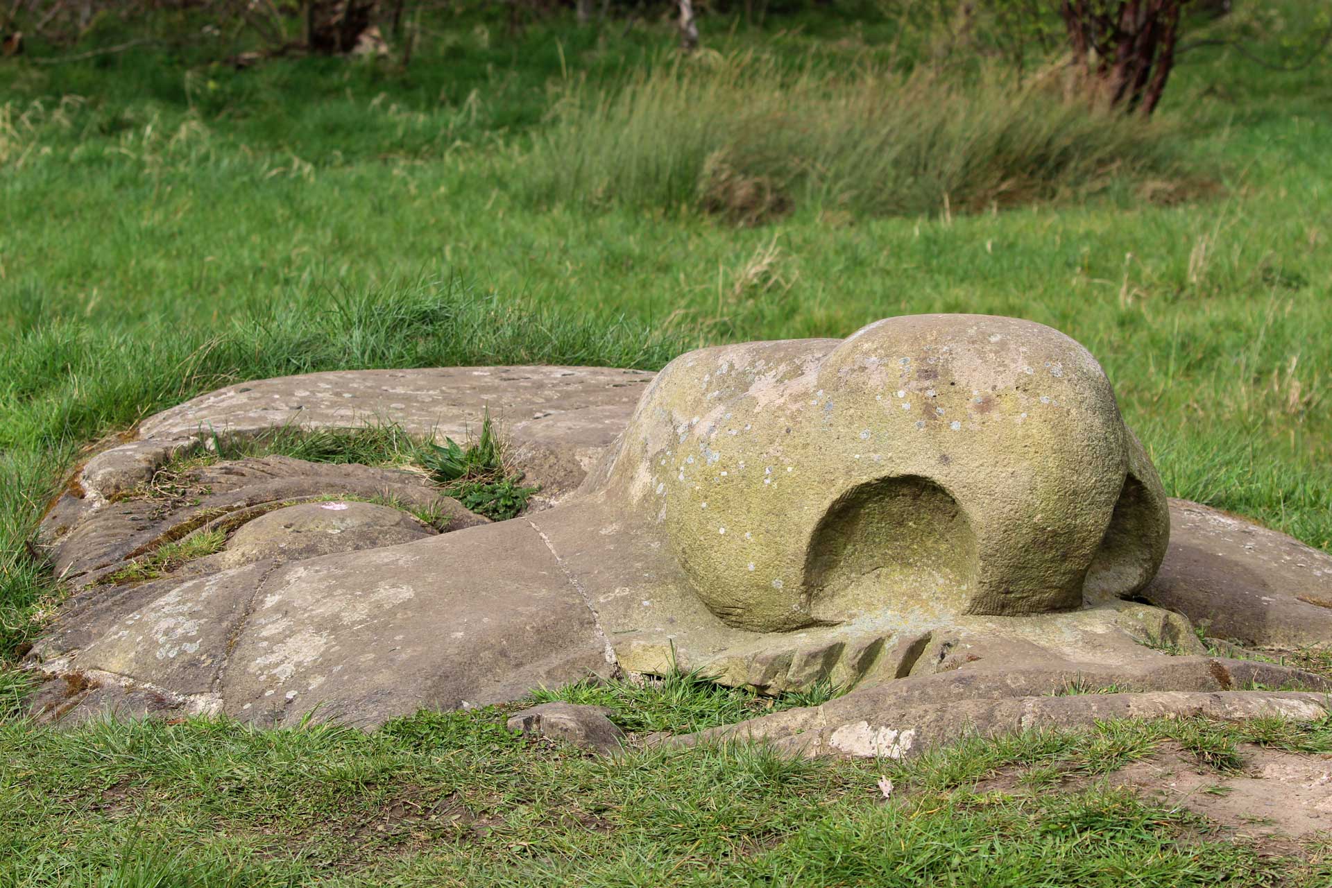 Hailes Quarry Hermit