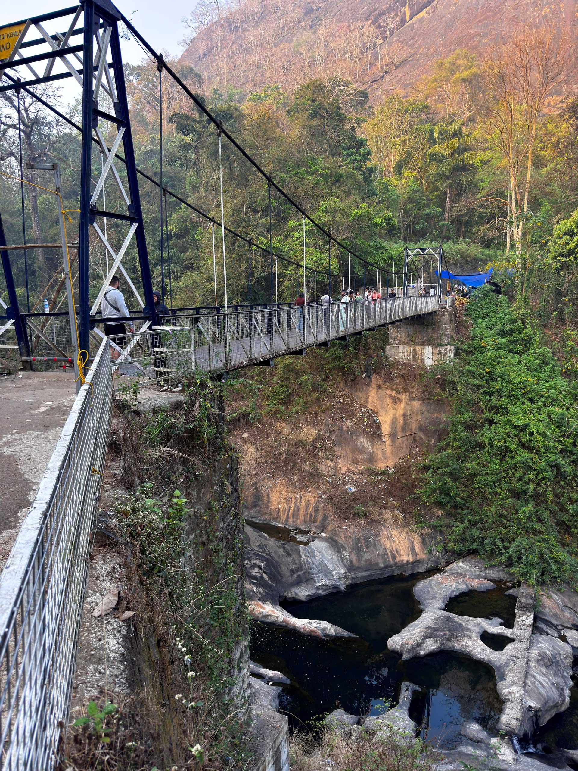 Hanging Bridge Ponmudi