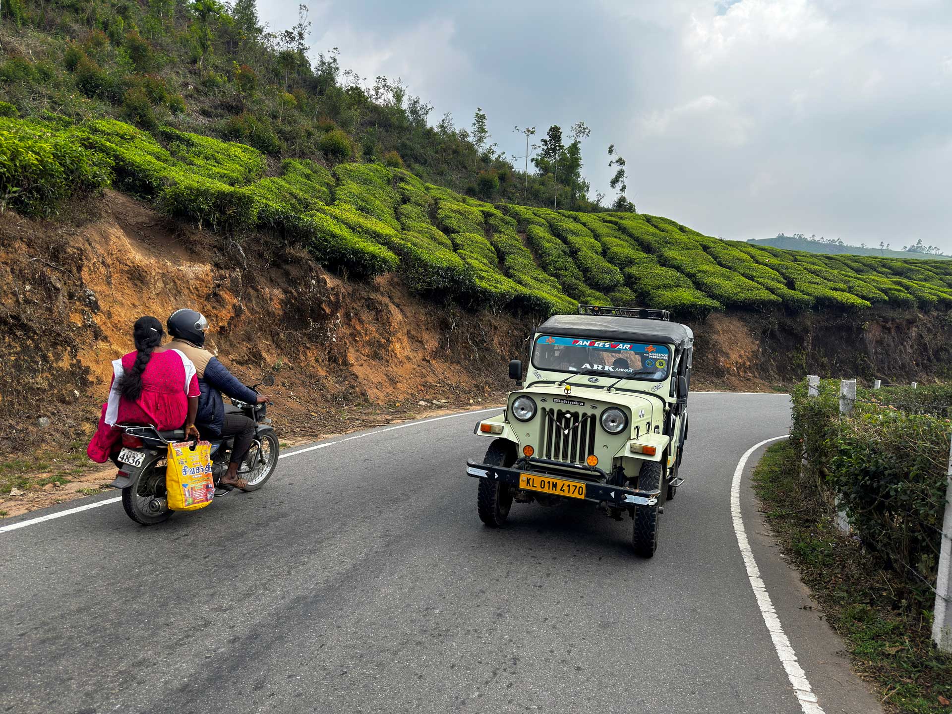 cesta čajovými plantážami