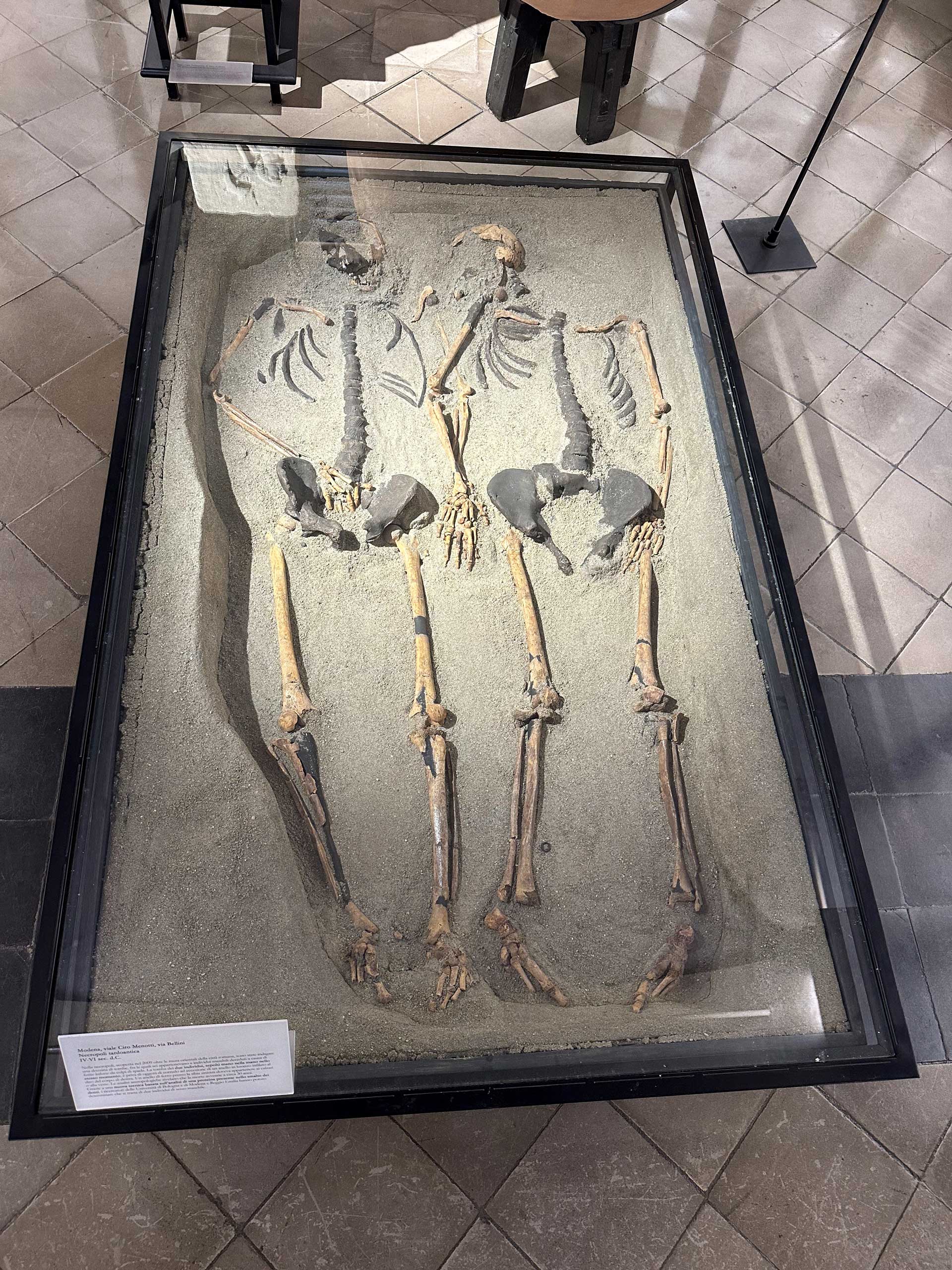 Museo Civico di Modena